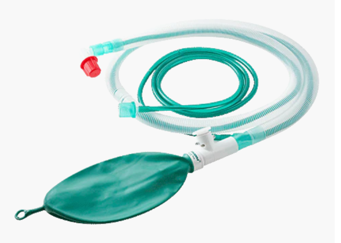 Adult Bain Circuit (Mapleson D)