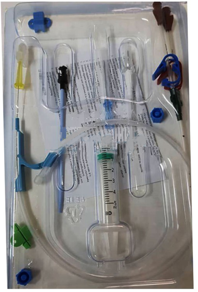 Arrow CD-10802 Double Lumen Central Venous Catheter – 8 Fr × 11 cm
